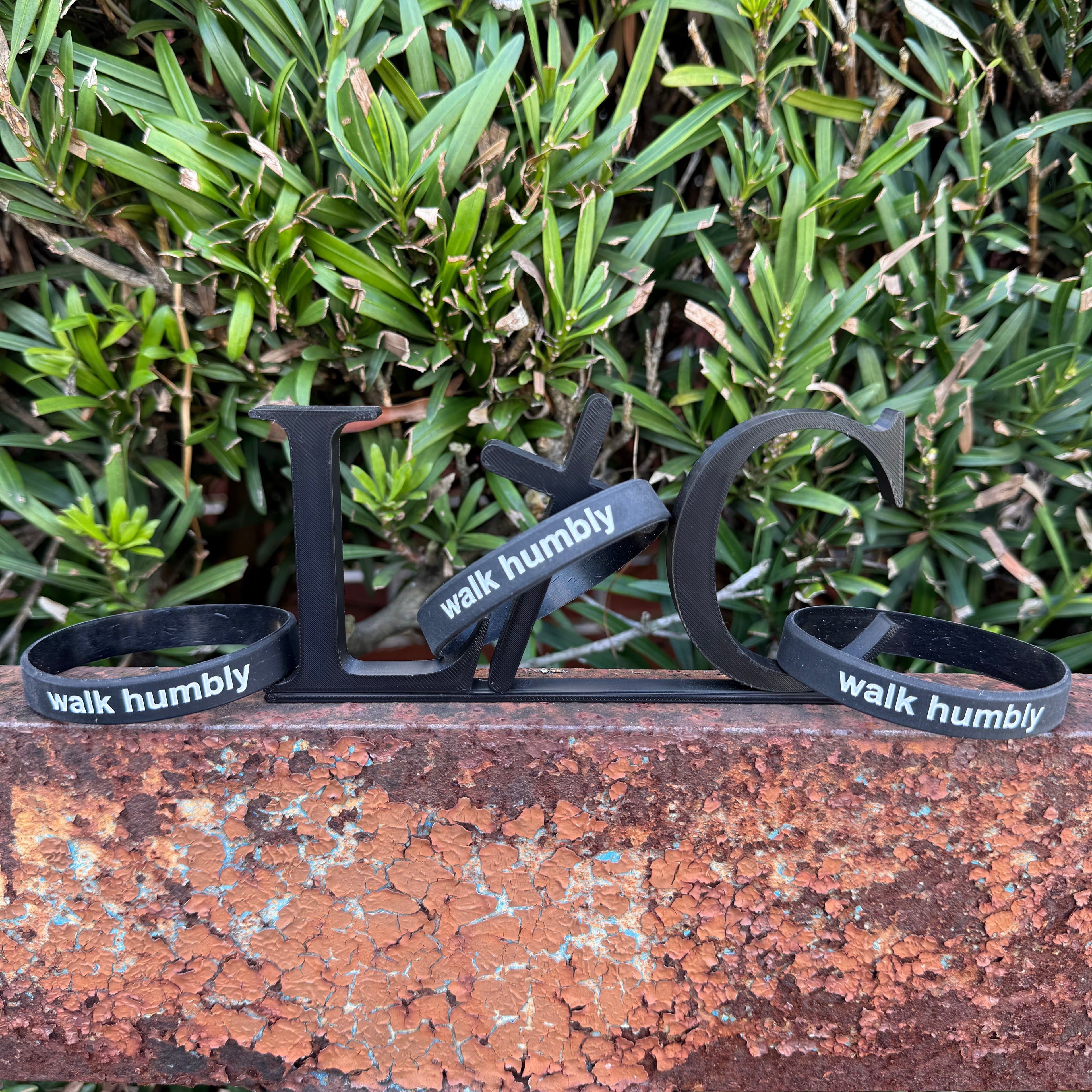 Live Boldly Bracelet